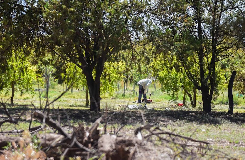 A una semana del femicidio en Nueva California, la comunidad surcoreana vuelve a la normalidad laboral en el complejo donde residen y trabajanFoto: Mariana Villa / lLos Andes