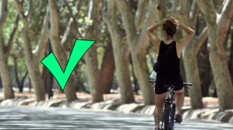 Buen tiempo y temperaturas agradables para disfrutar en Mendoza.