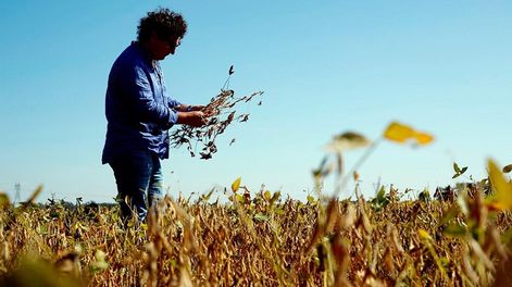 El milagro económico chino comenzó en el campo - Por Jorge Castro