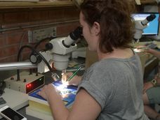 Investigación científica, devaluada