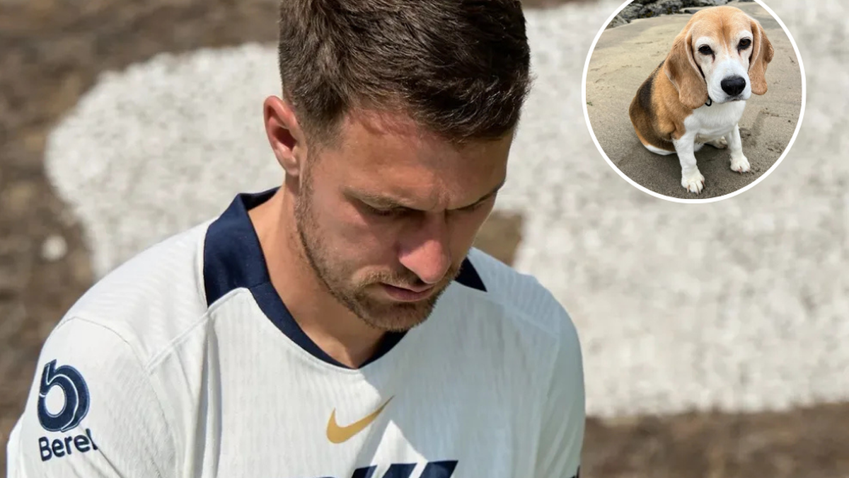 Jugó en la Premier League, tenía una "maldición" y hoy ofrece una fortuna para recuperar a su perro