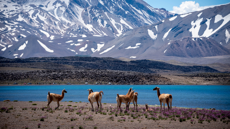 En qué puesto quedó la Argentina entre los países más lindos del mundo. Gentileza