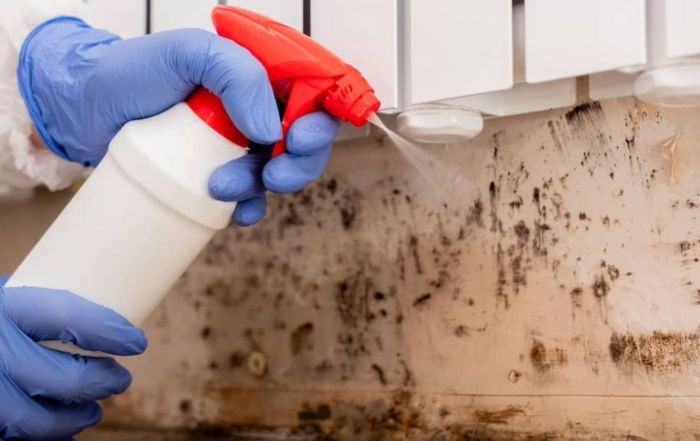 Mantener el ambiente limpio, sin humedad protege la vitalidad del hogar y de la salud. El verano es ideal para realizar estos tratamientos caseros.