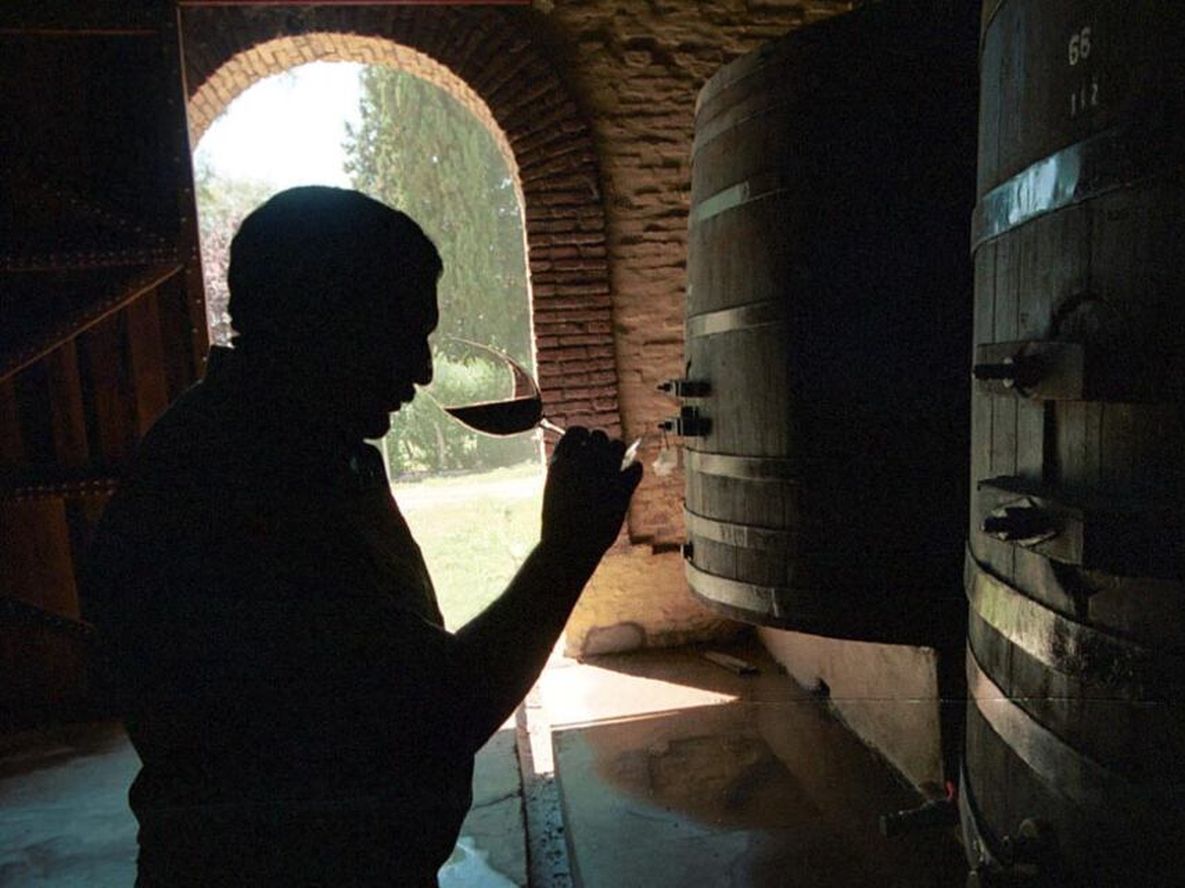 Enólogos que trabajan para enólogos: ¿contrato laboral o de obra y servicios?