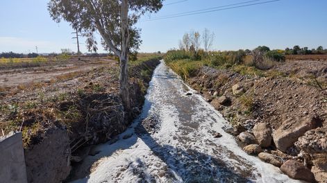 Los productores de ciertas zonas de Lavalle aún reciben el agua del canal Pescara, donde se siguen realizando vuelcos cloacales. Foto: Irrigación