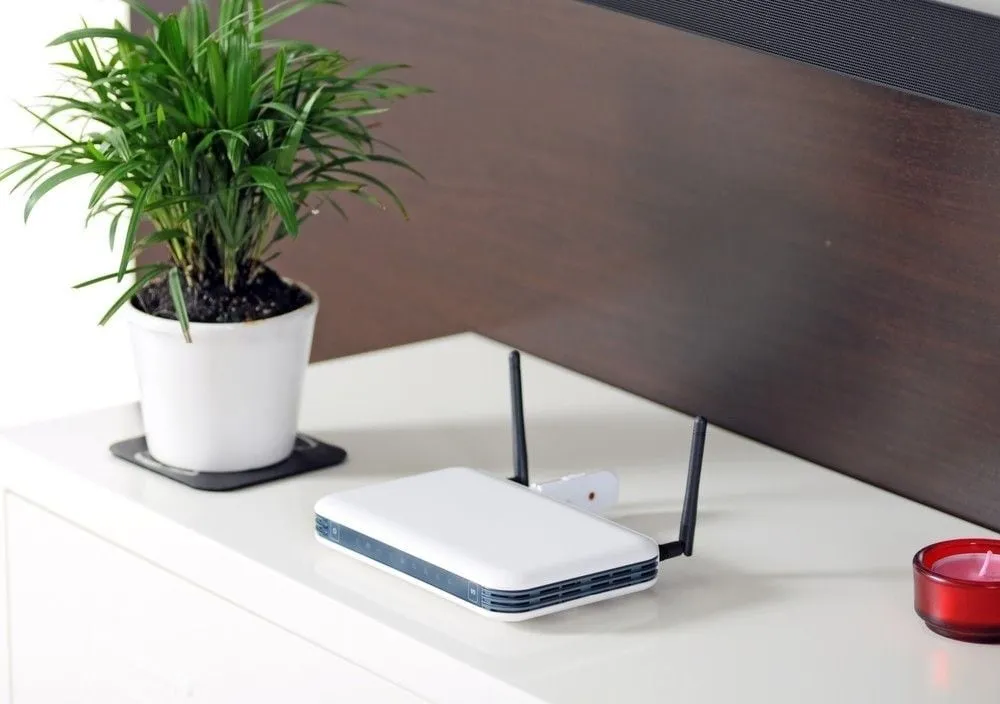 Se supo que ocurre realmente si una planta se ubica cerca del módem de wifi. Se supo que ocurre realmente si una planta se ubica cerca del módem de wifi.