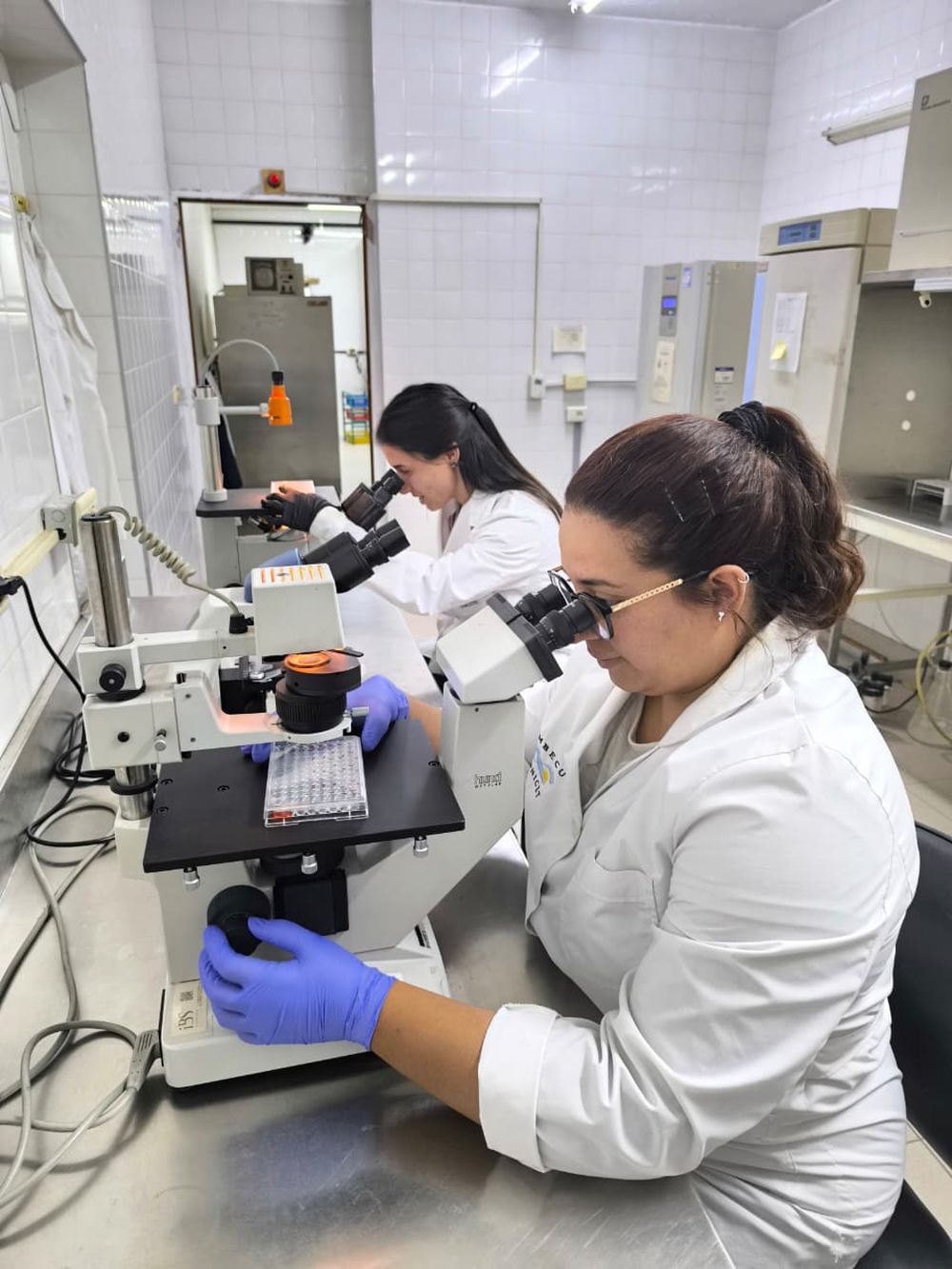 Investigadores del CONICET
