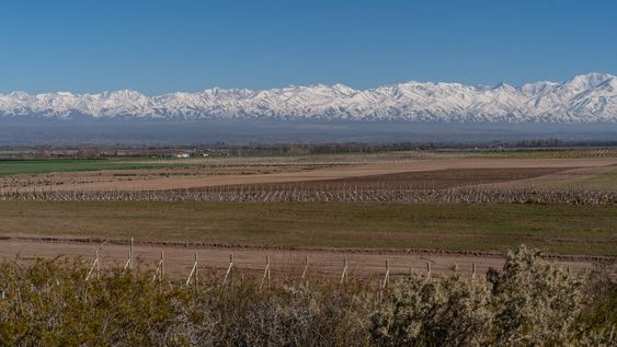 el nuevo horizonte del lujo sustentable: vivir y producir en el corazon del valle de uco