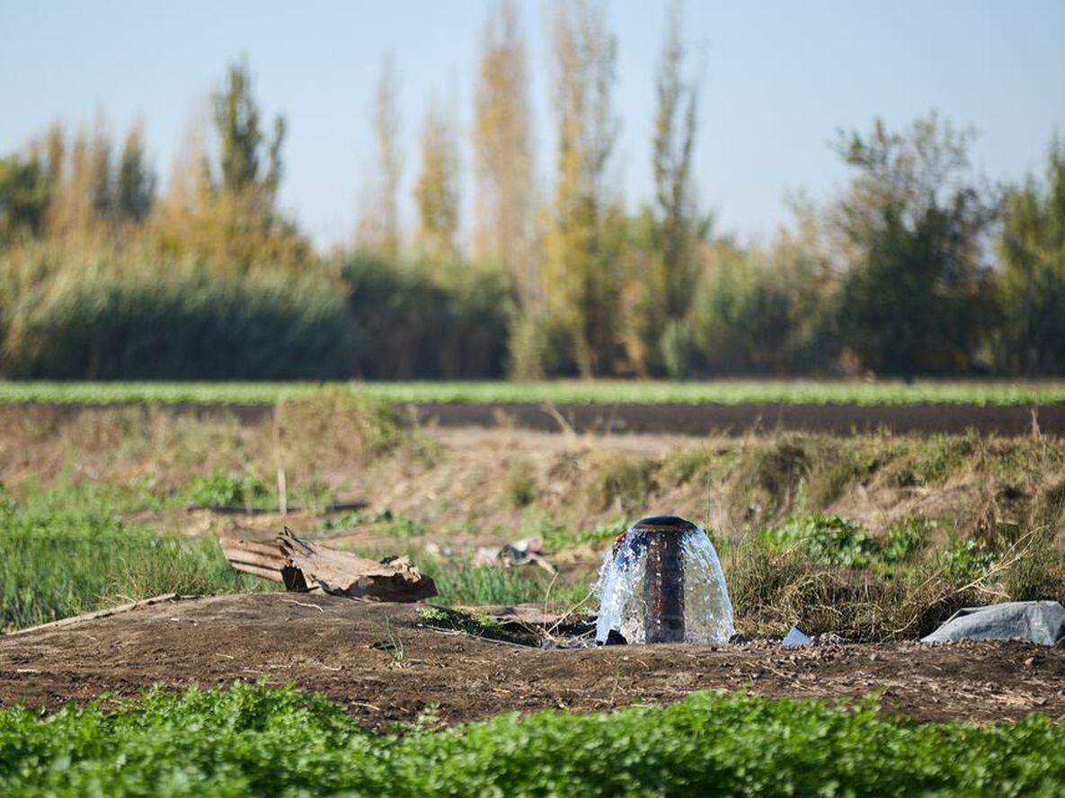 Irrigación busca ahorrar la impresión de 400.000 boletos anuales y los entregará solo digitales
