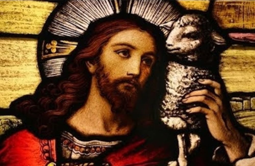 En el Evangelio de hoy, Jesús ve a las multitudes y se compadecía de ellas, porque estaban extenuadas y desamparadas, como ovejas sin pastor.