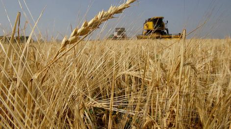 Los Andes | Las restricciones a las importaciones afectan a todas las actividades económicas de Argentina, una de las provincias más afectadas es Mendoza, sin lugar a dudas.