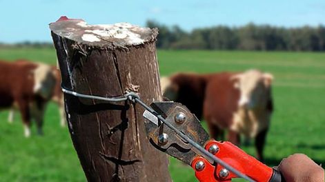 Referentes y productores sostienen que son constantes los asaltos y hurtos de insumos. Buscan vincularse entre los vecinos para responder en conjunto e intentar resolver un problema histórico.