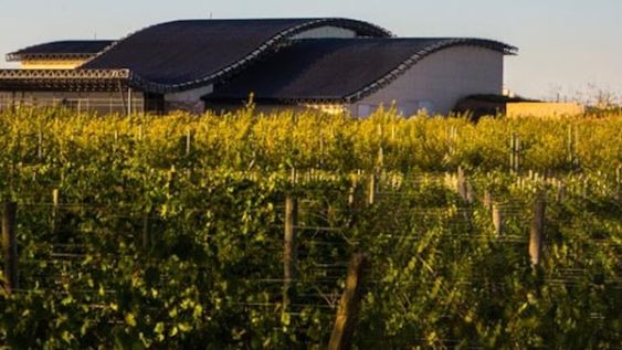 Bodega Patritti fundada en 2003, posee una capacidad de producción de 1,5 millones de litros de vino.