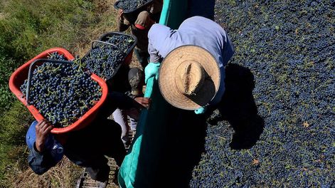 Malbec para el siglo XXI - Por Cristóbal Sola