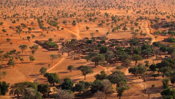 Cómo descubrieron más de 1.800 millones de árboles en el desierto de Sahara