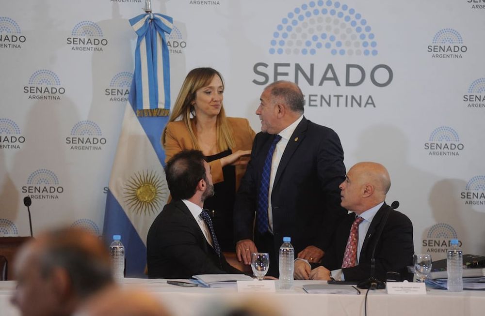 Con los dictámenes, la ley bases y el paquete fiscal quedaron en condiciones de ser tratados en el recinto del Senado (Foto: Clarín)