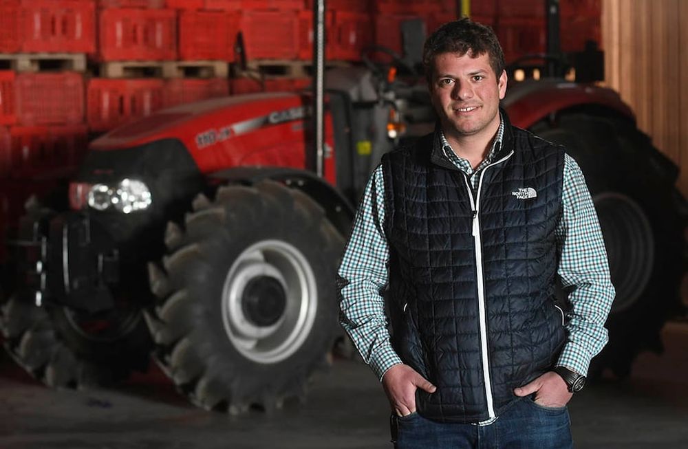 En todo el país se incrementó la superficie cultivada, Brasil aumentó su producción propia y no importará tanta hortaliza argentina. / Foto: José Gutierrez/Los Andes