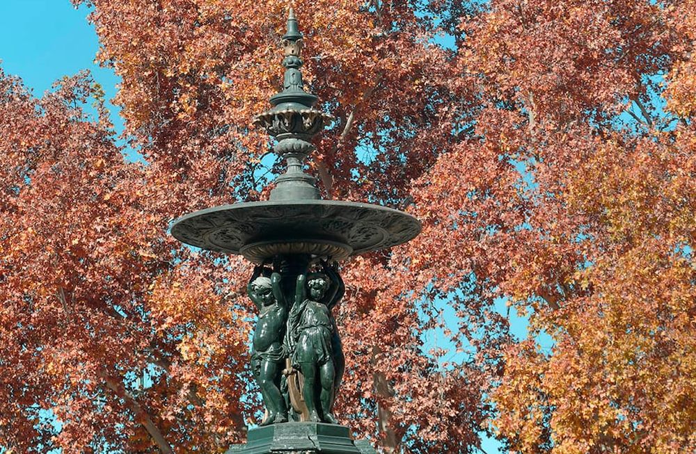 Mendocinos podrán  disfrutar del otoño en MendozaFoto: Orlando Pelichotti / Los Andes