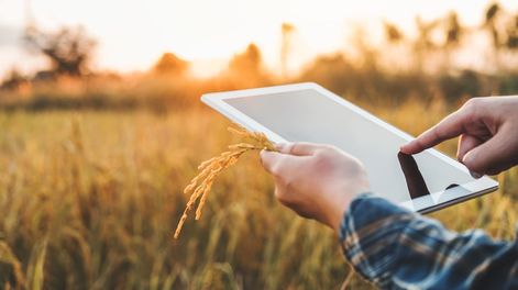 Cómo funciona la startup que apuesta a la inclusión digital rural