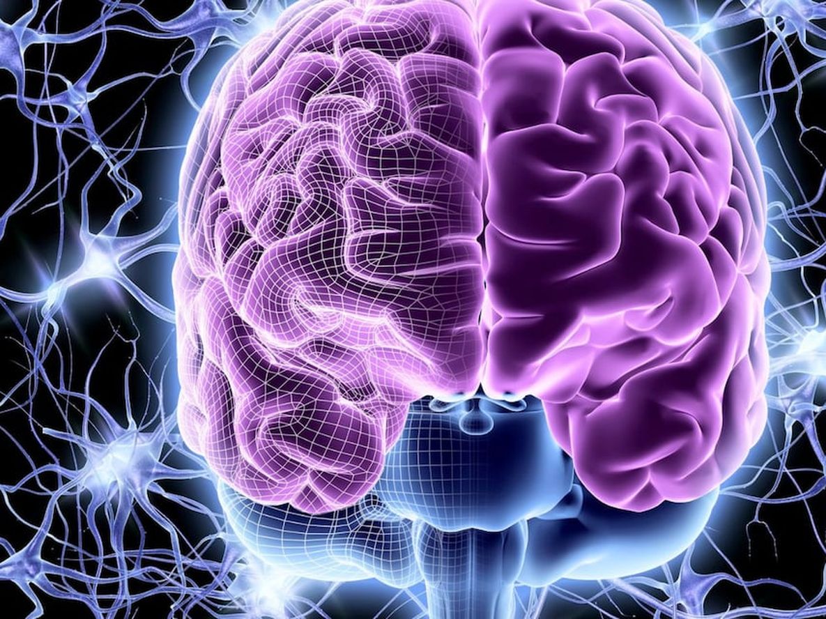 Un especialista reveló los cinco ejercicios para activar las neuronas.