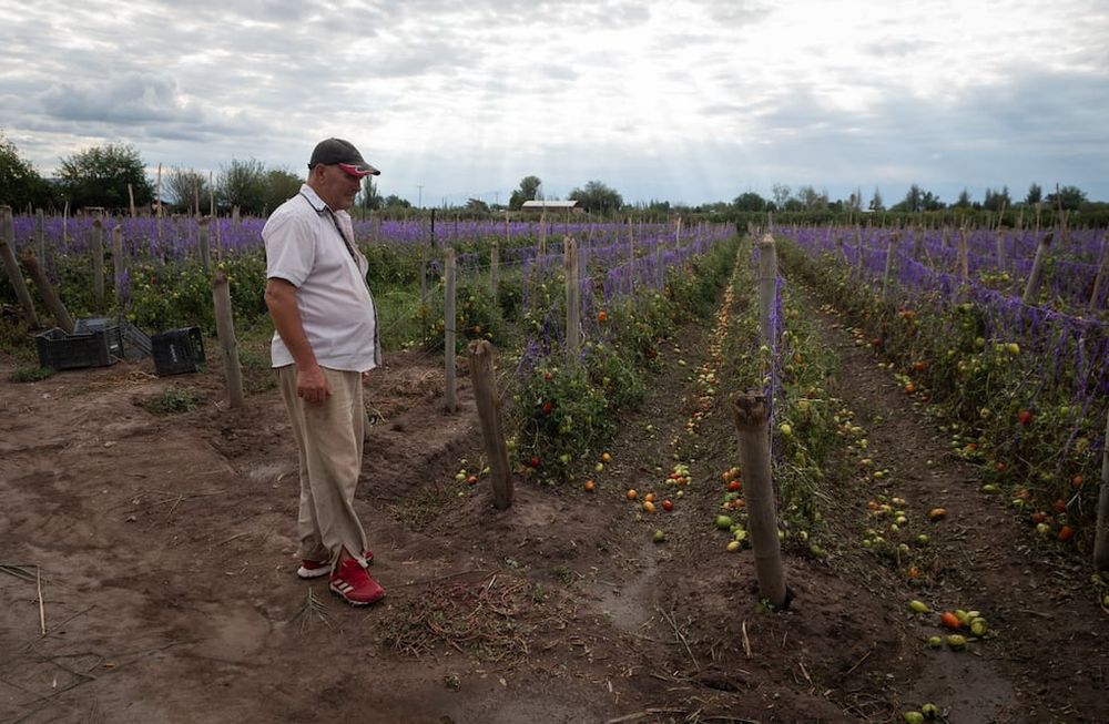 Una fuerte tormenta de lluvia y granizo afectó a distritos del Gran Mendoza. Algunas de las localidades más afectadas fueron Fray Luis Beltrán y Rodeo del MedioMiguel LopezFoto: Ignacio Blanco / Los Andes