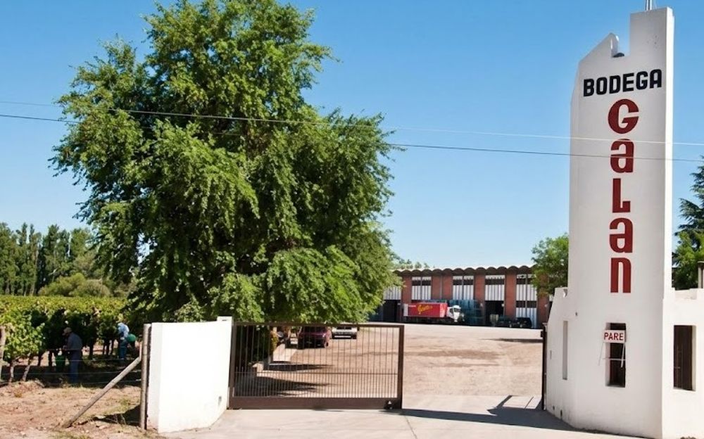 Conflicto en Bodega Antonio González: trabajadores cumplen cinco días de asamblea por falta de pago de sueldos y aguinaldos.