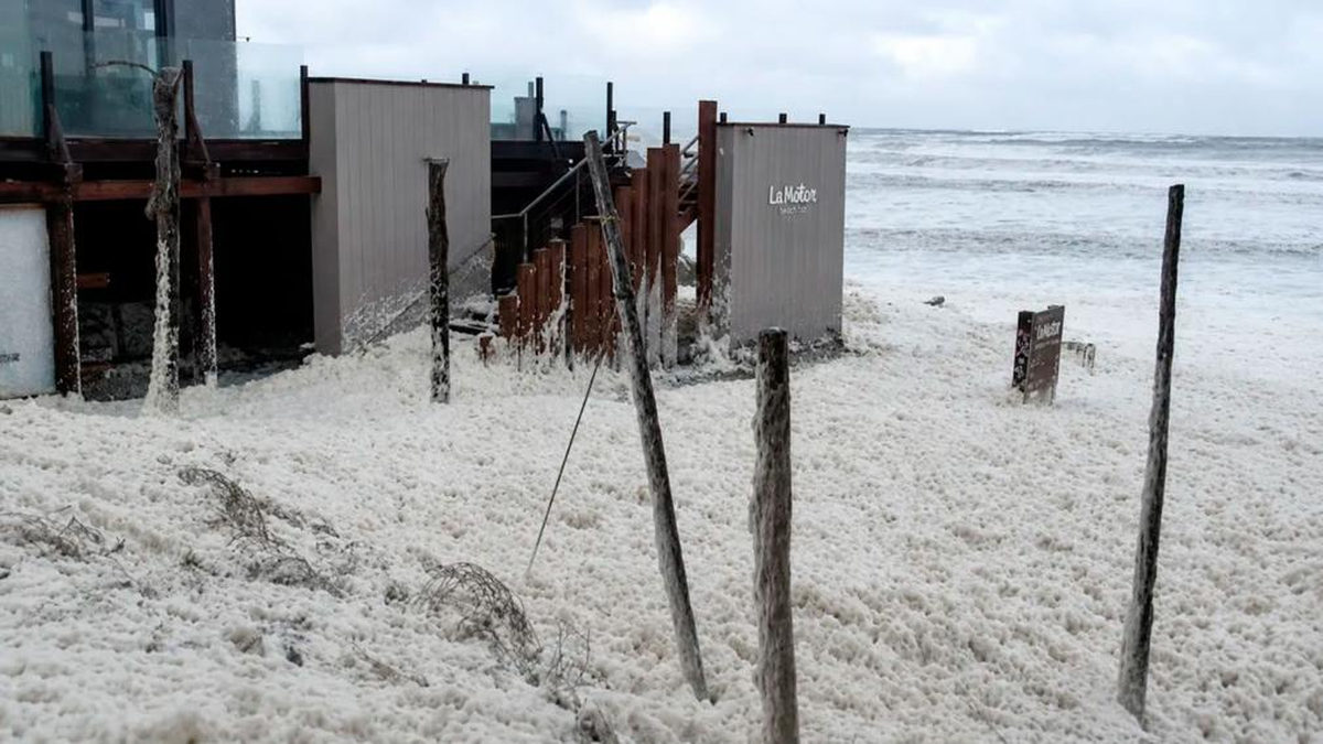 Fenómeno inusual en la costa argentina: la espuma marina transformó las playas en un paisaje 