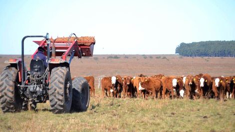 Los Andes | Entre los problemas que vienen desde hace años y algunos logros recientes, la agroindustria local analiza cómo recibe el año y cuáles son sus objetivos.