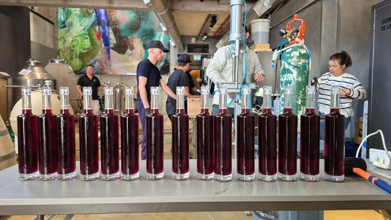 huentala wines avanza con el fraccionamiento de vinos en su bodega urbana huentala wines avanza con el fraccionamiento de vinos en su bodega urbana