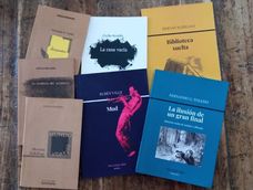 Algunos de los más de 30 títulos que ha publicado la editorial mendocina dirigida por los escritores sanmartinianos Fernando G. Toledo y Hernán Schillagi.