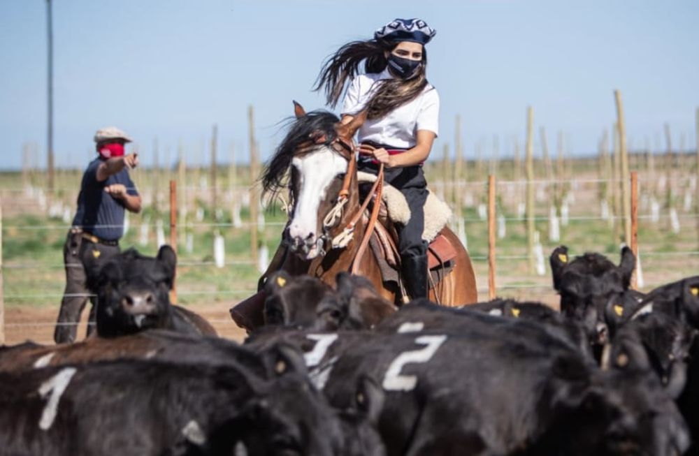 Las finales de caballos criollos se transmiten a través de Expoagro Digital