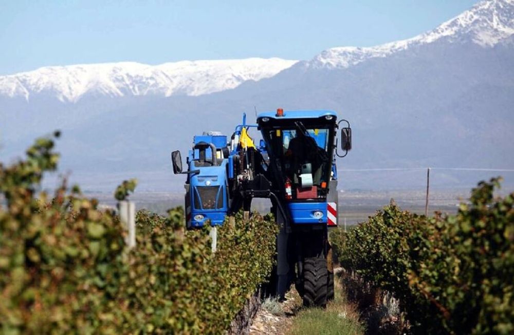 El difícil y largo camino de la mecanización en el agro mendocino