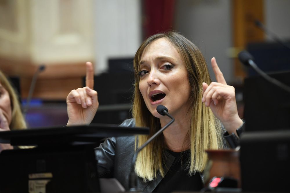 La legisladora de Unión por la Patria afirmó que no existen fundamentos científicos para eliminar la normativa y defendió su impacto en los hábitos de consumo.