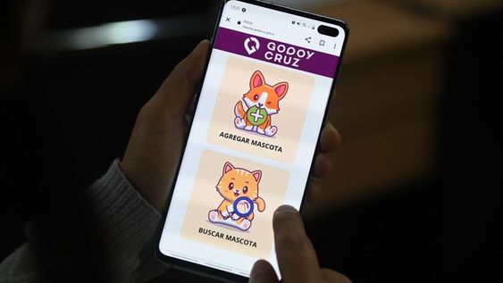 Tenencia responsable de animales: tomar conciencia para cubrir las necesidades de las mascotas