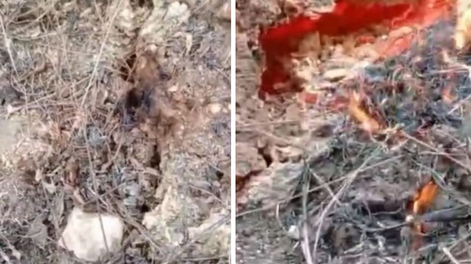 Llamas desde el fondo de la tierra: el fenómeno geológico que mantiene en alerta a Venezuela