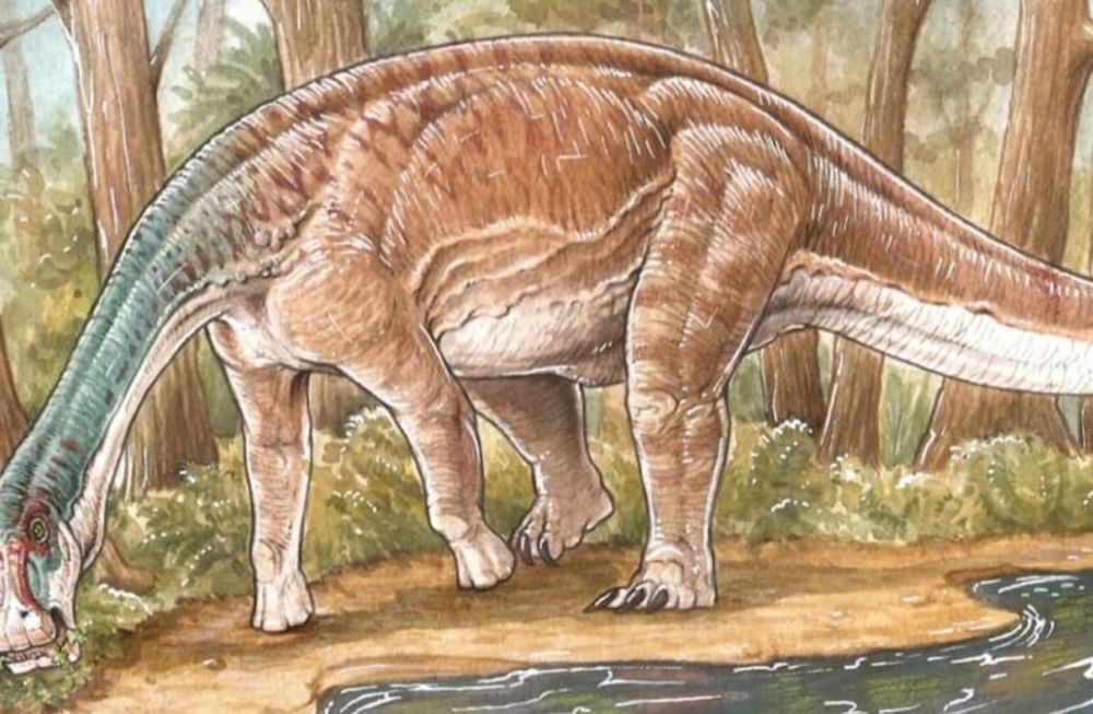 Inawentu oslatus, el imitador del saurópodo rebaquisáurido que habitó la Tierra durante el período Cretácico Superior. Foto: Gentileza CONICET