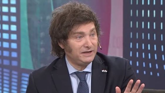 Milei: Yo estoy como Walt Dinsey, no me caliento más. Foto: captura.