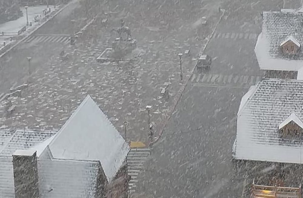 Sorpresa en primavera: “la nevada de los tulipanes” cubrió de blanco a Bariloche