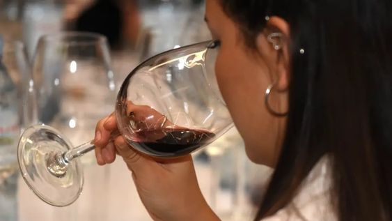 “Celebrando al Malbec 2024″: una nueva edición con sabor a feria