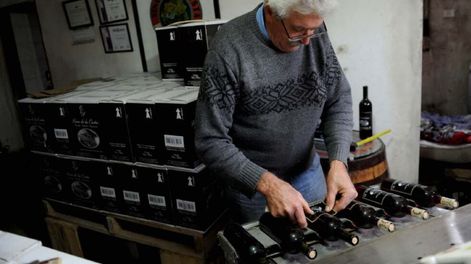 El vino argentino ¿es la más genuina e higiénica de las bebidas?