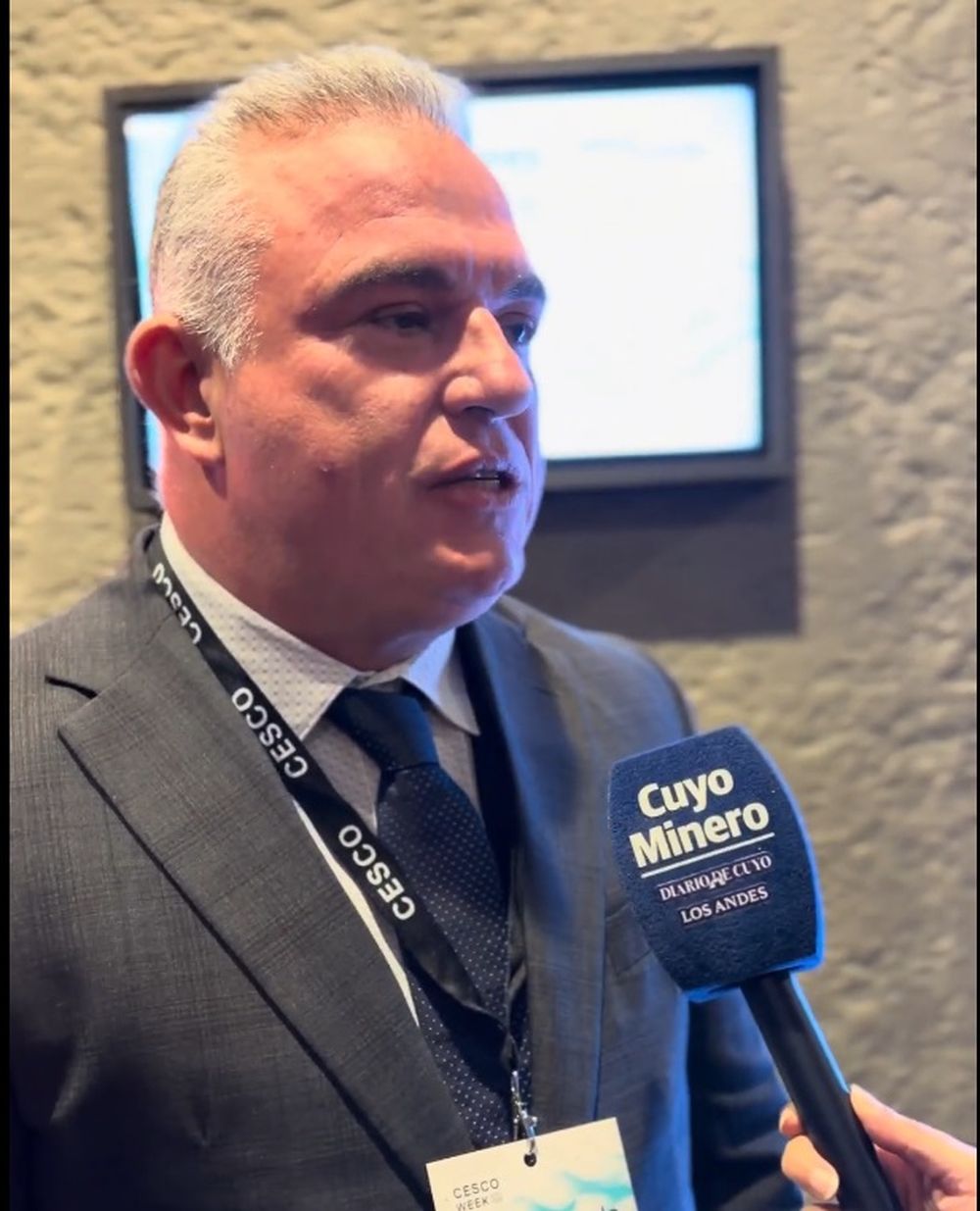 Para Los Azules, Argentina puede convertirse en un polo clave de cobre a nivel global