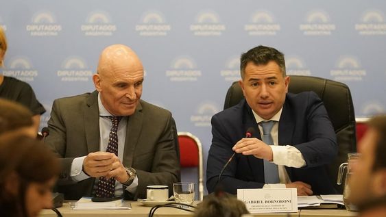 José Luis Espert y Gabriel Bornoroni, presidentes de las comisiones de Presupuesto y Legislación General, respectivamente (Foto: Clarín)