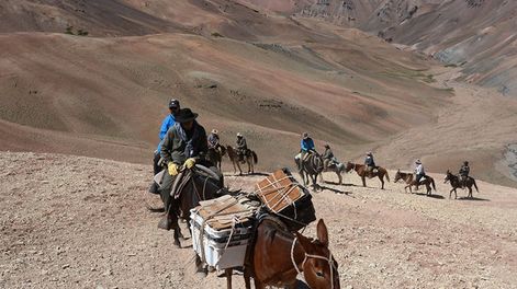 Los Andes | Cruce de Los AndesCruce a caballo de la Cordillera de Los Andes por el Paso de Los Patos, al cumplirse 200 años de la gesta libertadora del General San Martín.Personal de Diario Los Andes realizó la cabalgata de 9 días hasta el límite con Chile haciend