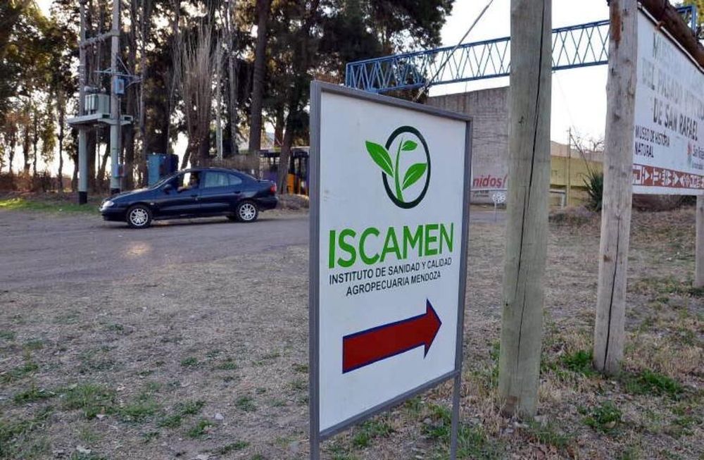 El Iscamen controla el ingreso de fruta al sur provincial
