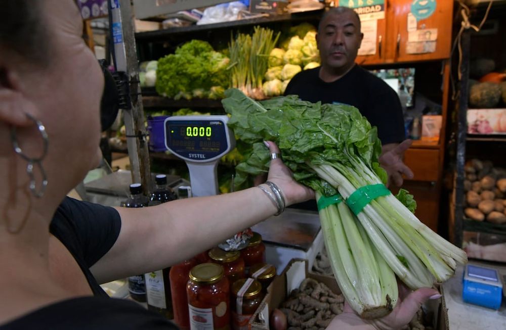La acelga fue el producto con menor brecha en los precios en mayo. Foto: Los Andes