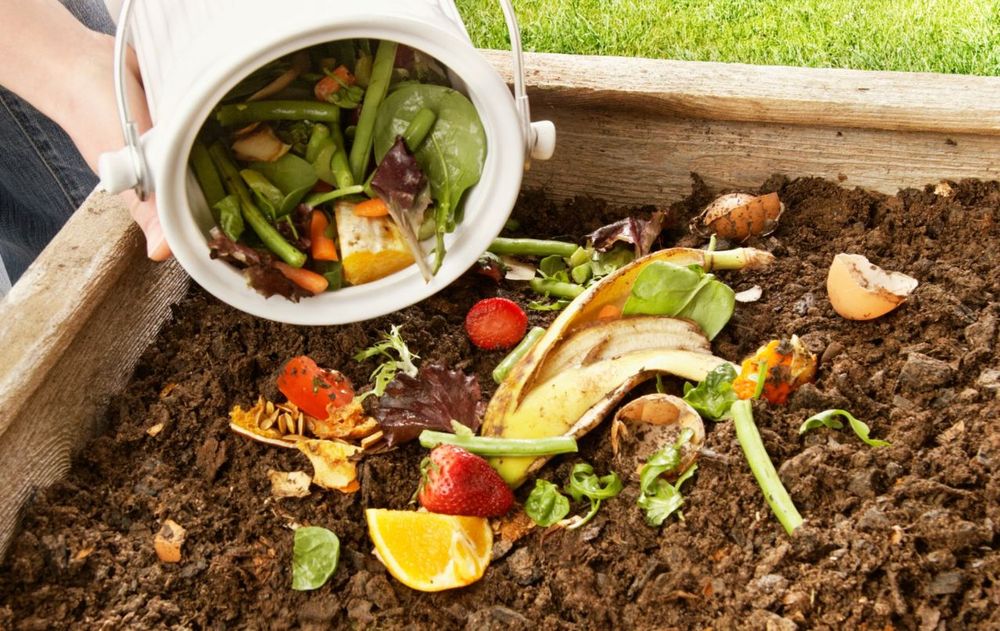 Esta cáscara puede transformarse en un abono suave que sostiene el desarrollo de las plantas a largo plazo.