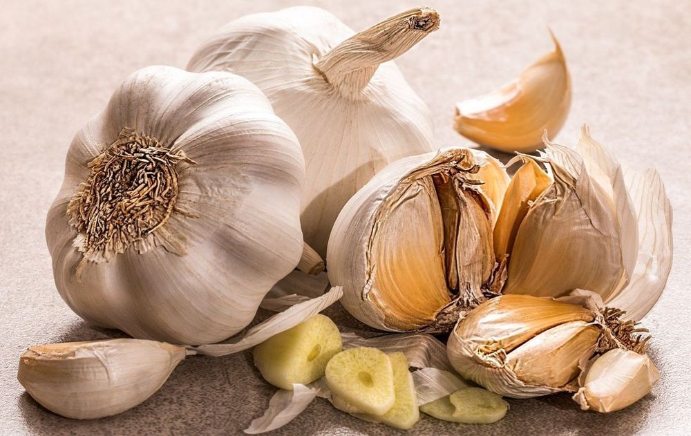 Las plantas pueden tener un beneficio extra para su crecimiento saludable a través de las cáscaras y así evitar un poco los fertilizantes fuertes.