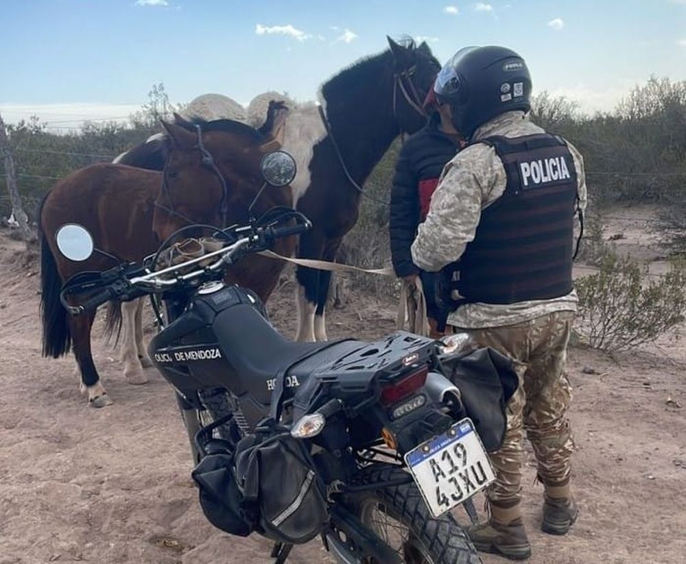 Policía Rural&nbsp;