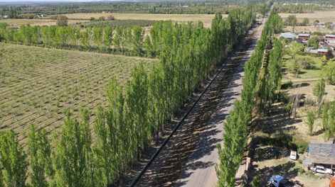 Irrigación y la UNCuyo lanzaron un diplomado en seguridad hídrica y gestión de riesgos
