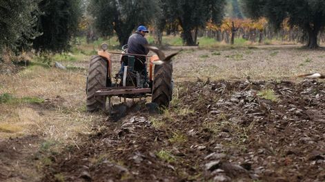 El suelo nos importa a todos - María Fernanda González Sanjuan